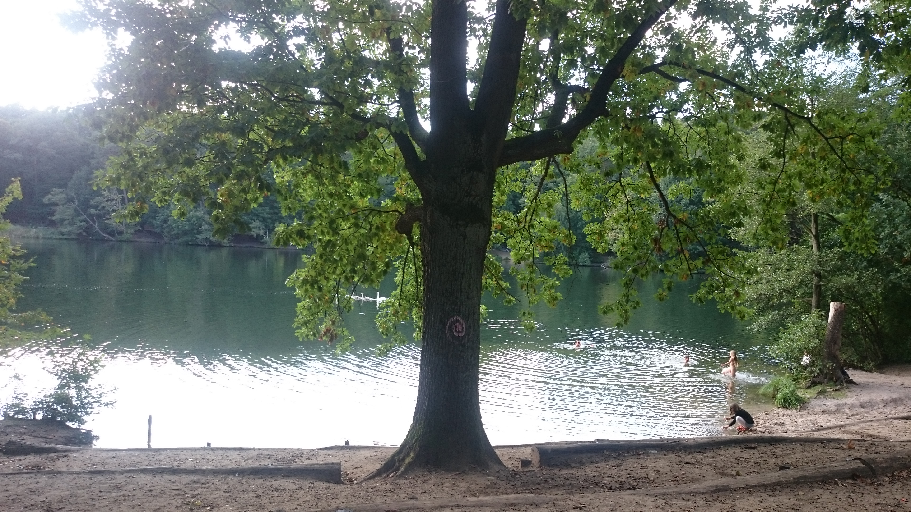 Schlachtensee 2