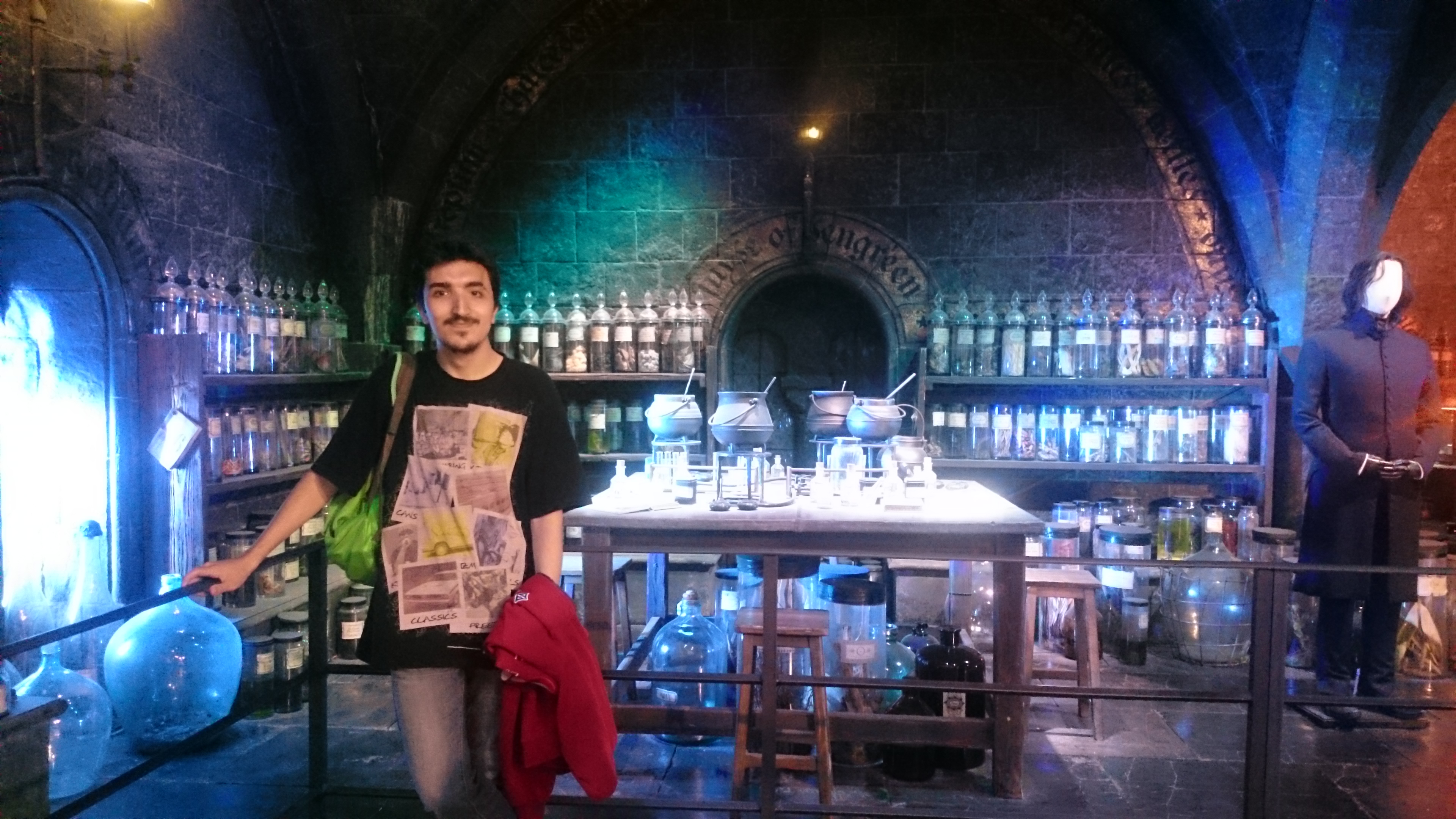 HP Potions Room
